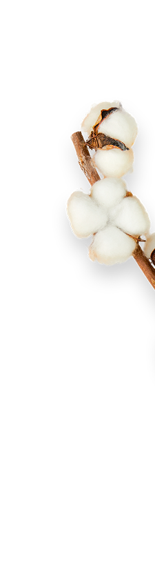 cotton